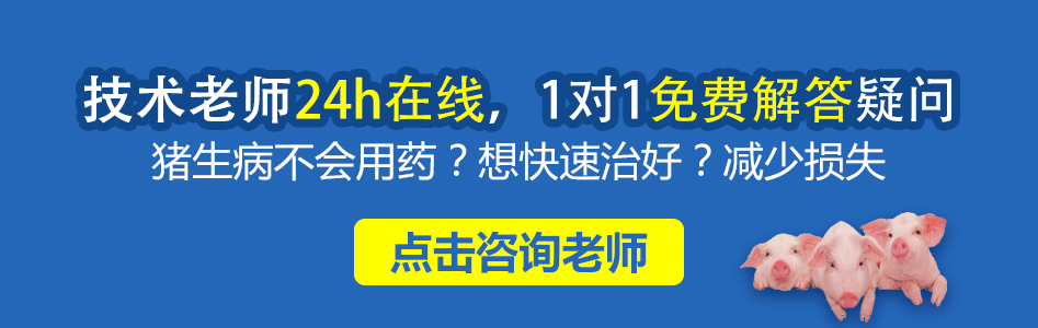24小时在线 (2).jpg